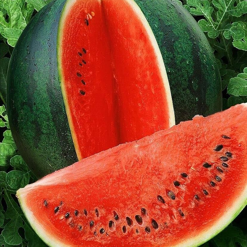 Sugar Baby Watermelon Seeds, g