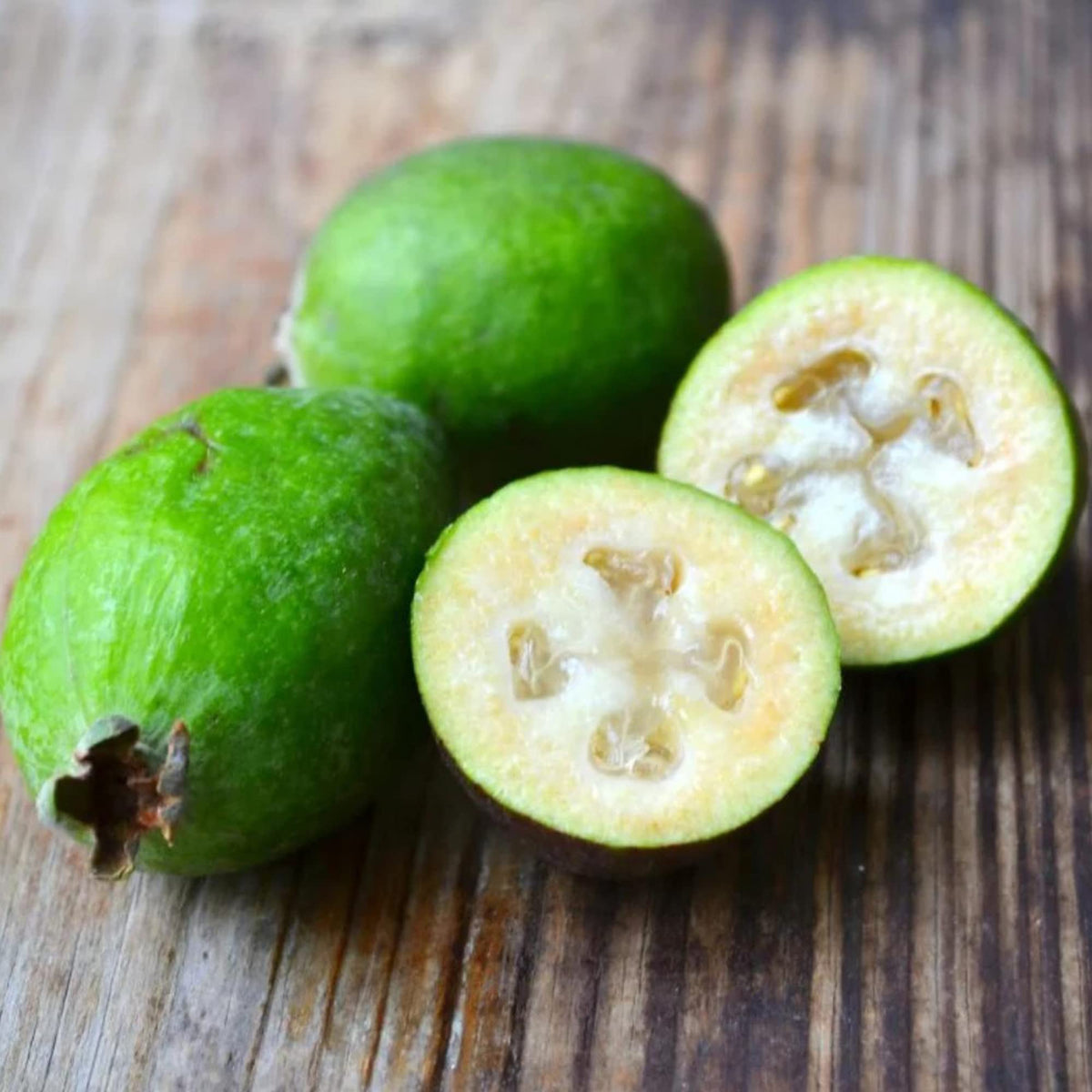Pineapple Guava Feijoa sellowiana Seeds for Planting in Edible Garden