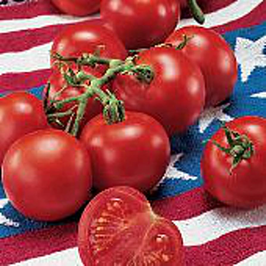 Fourth of July tomato seeds for planting in garden beds