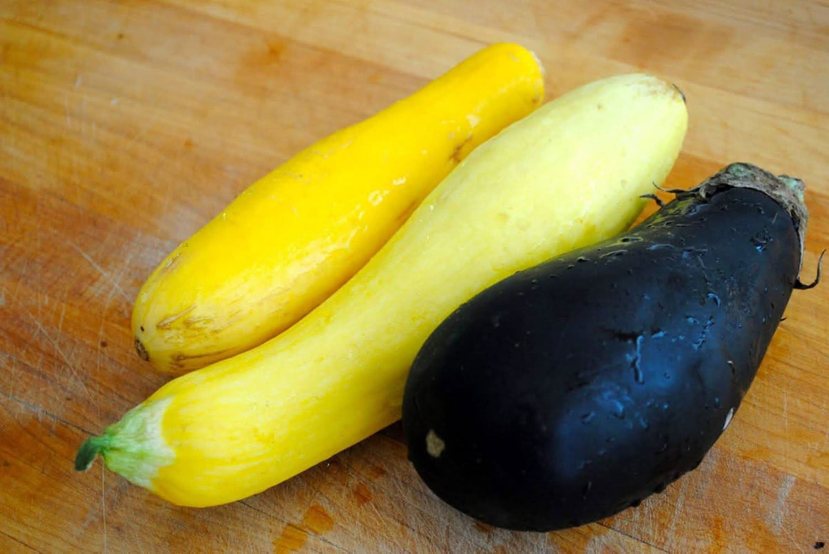 Violet Yellow Eggplant Solanum melongena for planting in vegetable patch