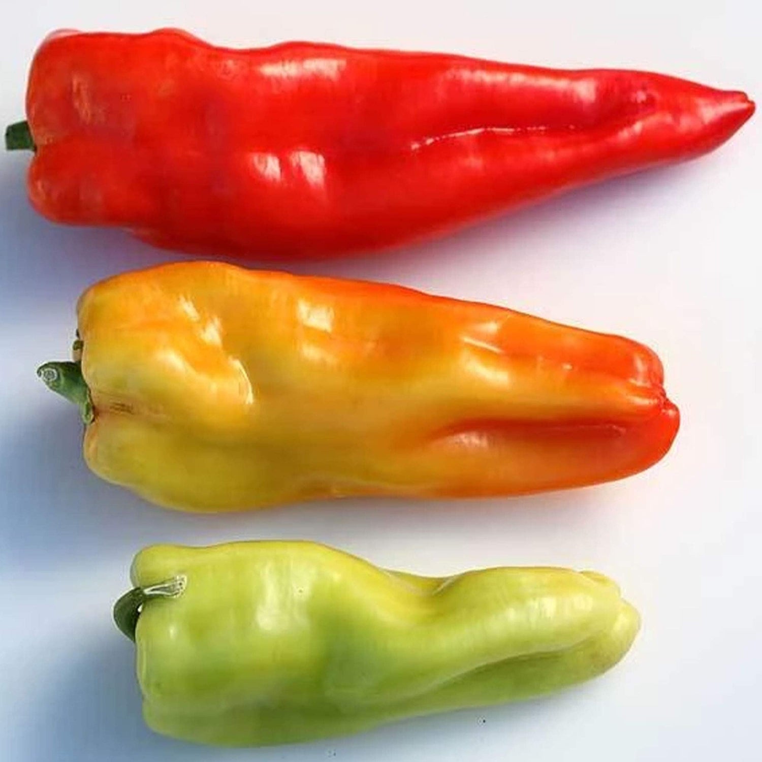 Pepper Capsicum Annuum Giant Aconcagua Vegetable Seeds for Planting – Great for Kitchen Garden and Sweet Harvest