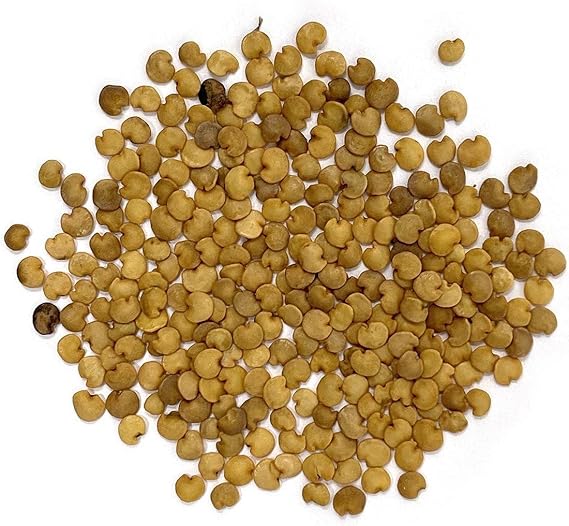 Eggplant Solanum melongena Long Purple vegetable seeds for planting in home garden or containers