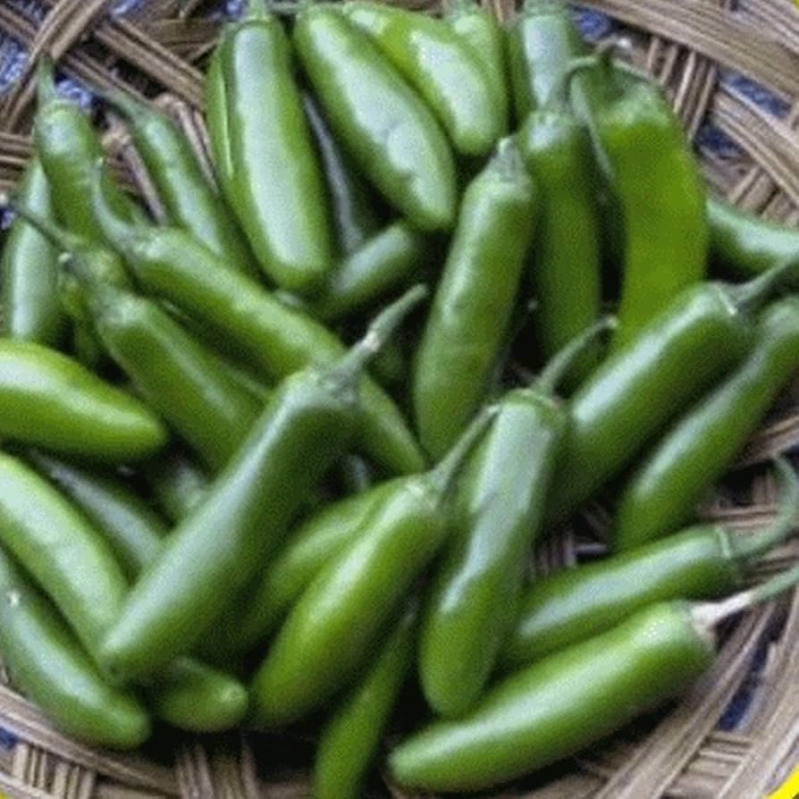Mexican Pepper Seeds for Planting Capsicum Annuum vegetable patch spice garden