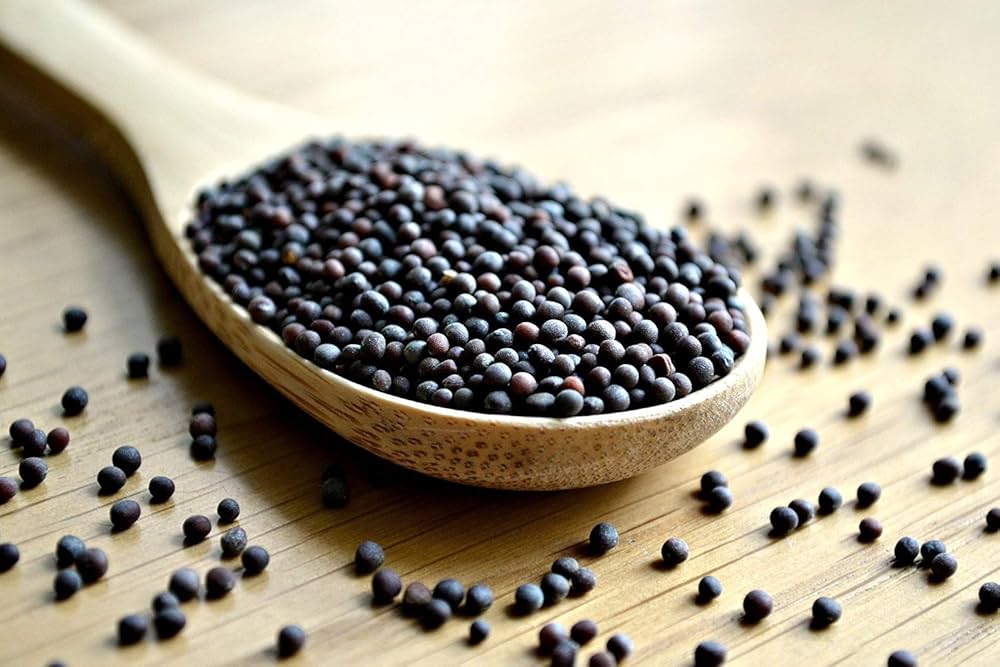 Heirloom Non-GMO Black Mustard - Seeds for Spicy, Flavorful Seeds in Your Herb Garden