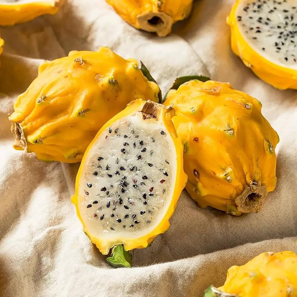 Pitaya Fruit Seeds for Planting - Yellow Variety for Colorful Gardens