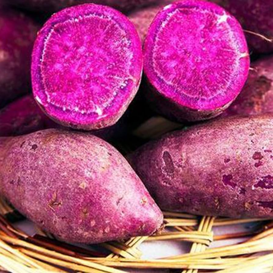 Pezzi di Semi di Patate Dolci Viola/Giallo