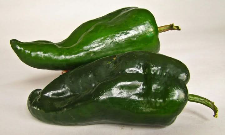 Chili Vegetable Seeds for Planting