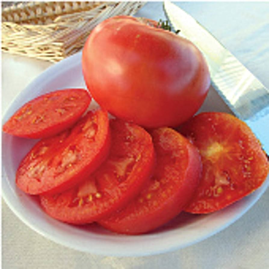 Momotaro Tomato Solanum lycopersicum Seeds for Planting in Vegetable Patch