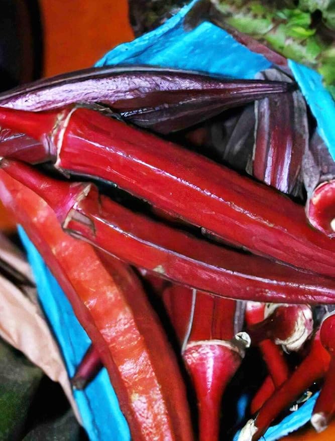 Okra Abelmoschus esculentus vegetable seeds for planting in home garden or warm-season backyard plots