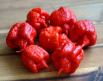 Carolina Reaper Red Hot Pepper – Capsicum chinense – hot pepper garden