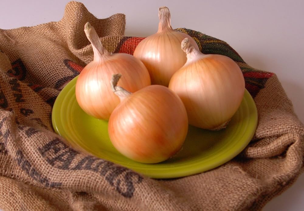 Onion Allium Cepa Texas Grano 1015Y Vegetable Seeds for Planting – Sweet Variety for Home Garden and Culinary Use