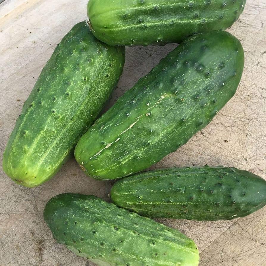 National Cucumber Seeds - Organic, Non-GMO Seeds per Pack for Home Gardens