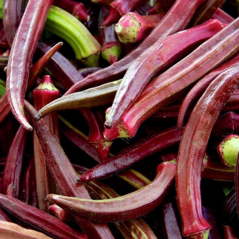 Hill Country Red Okra Seeds - Pieces for Southern Garden, Bhindi or Gumbo Vegetable