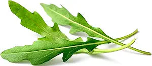 heirloom-non-gmo-arugula-roquette-lettuce-seeds

