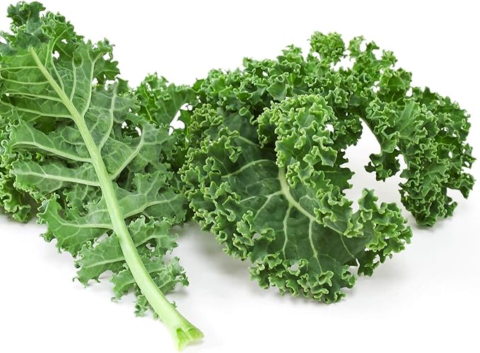 Kale Brassica Oleracea Blue Scotch Leafy Vegetable Seeds for Planting – Heirloom Green for Kitchen Garden and Raised Beds