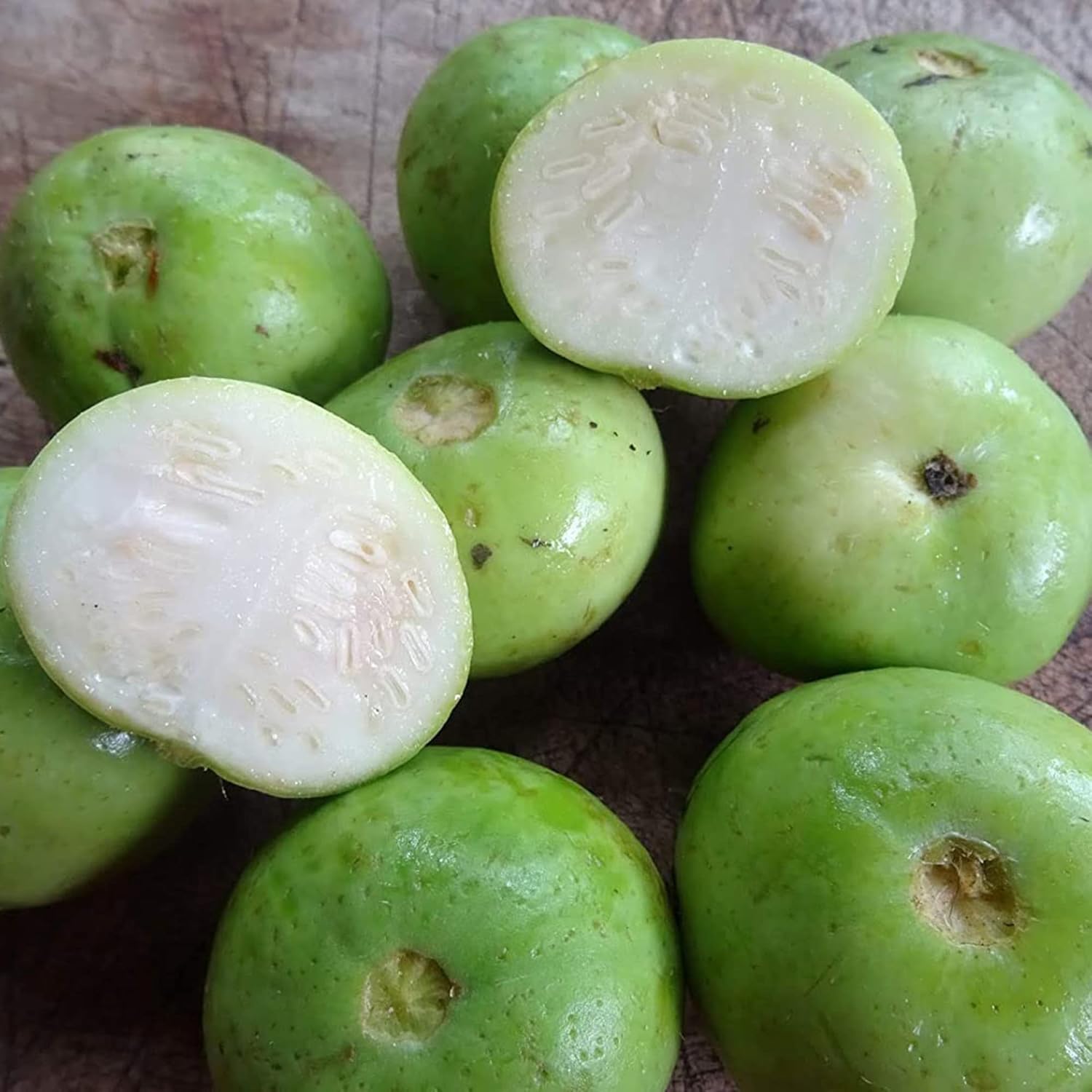 Tinda Gourd Seeds