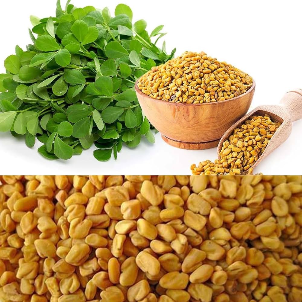 Fenugreek Seeds