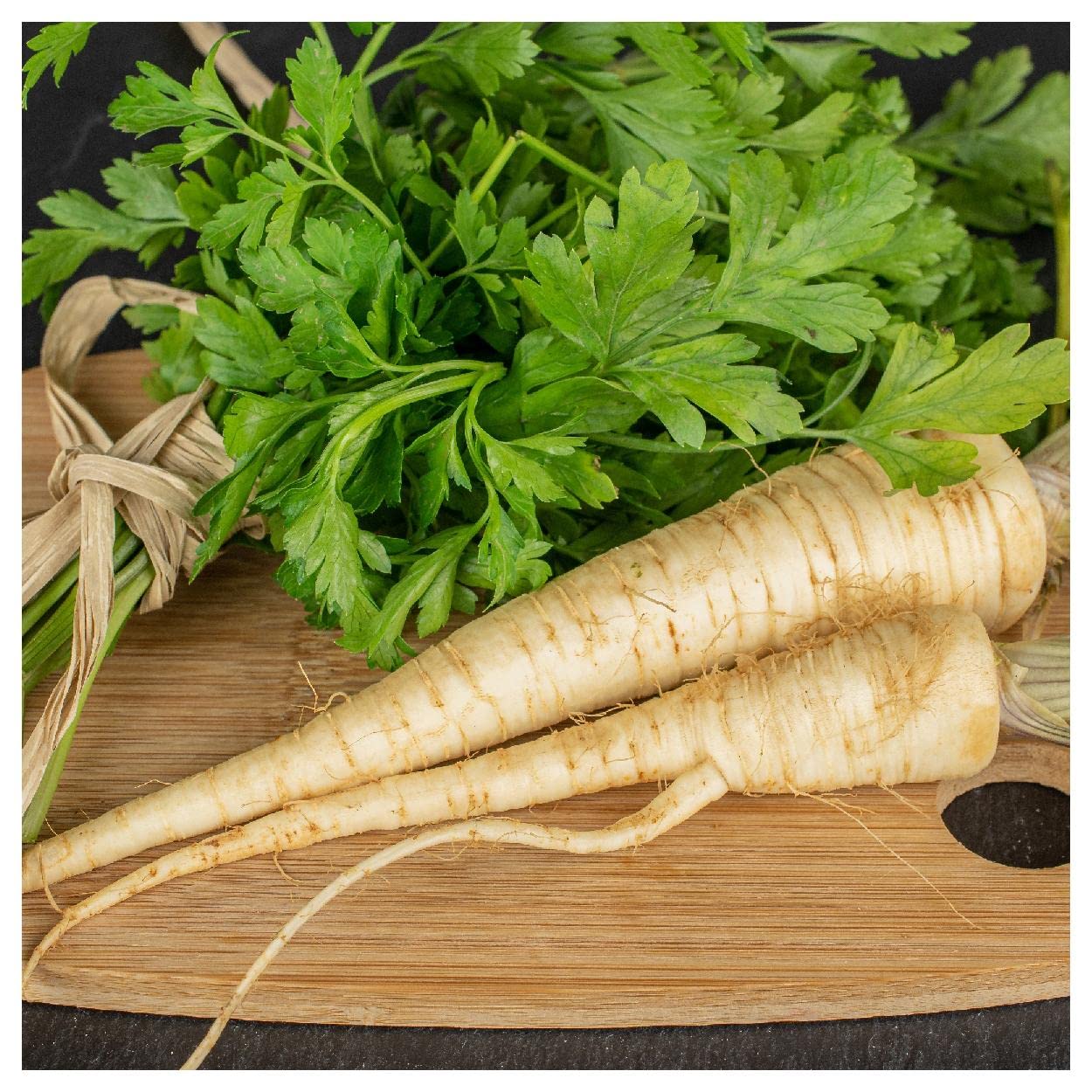 Hamburg Rooted Parsley Seeds - Seeds for Organic Herb Gardens