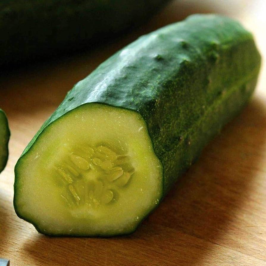 Snacker Bush Cucumber for planting
