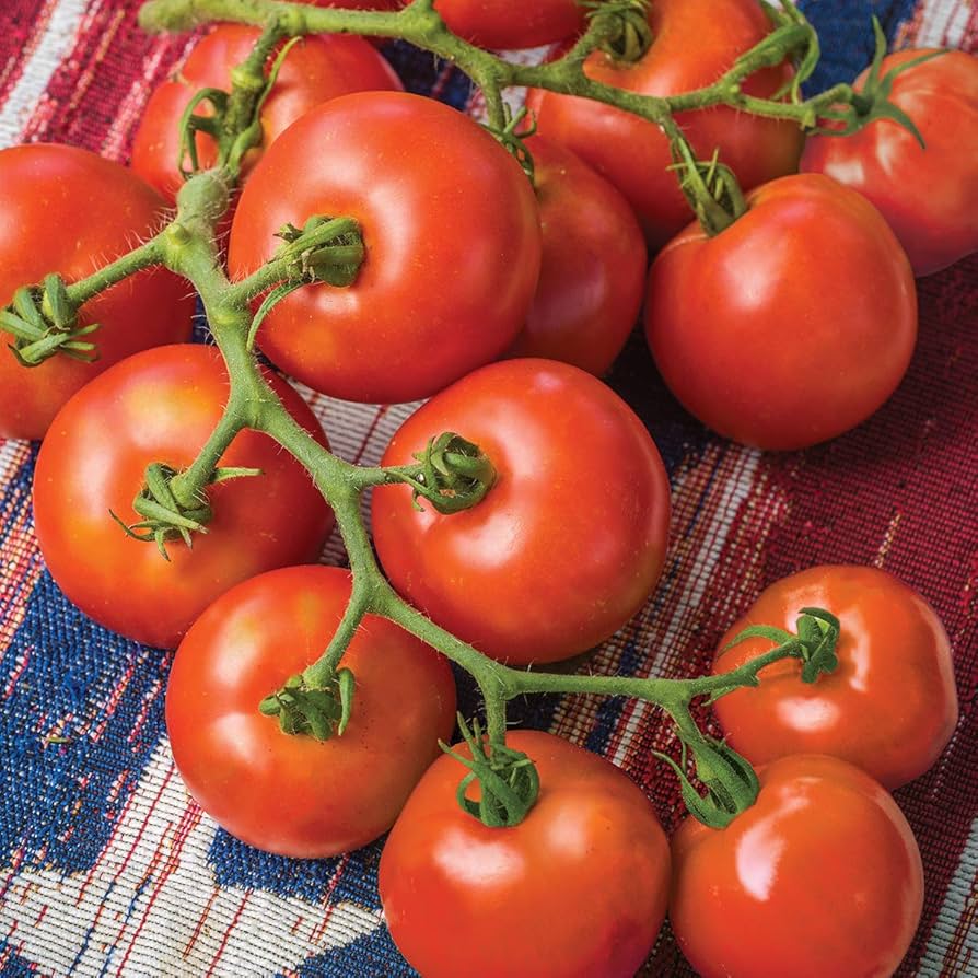 Fourth of July Tomato Seeds for Planting Garden