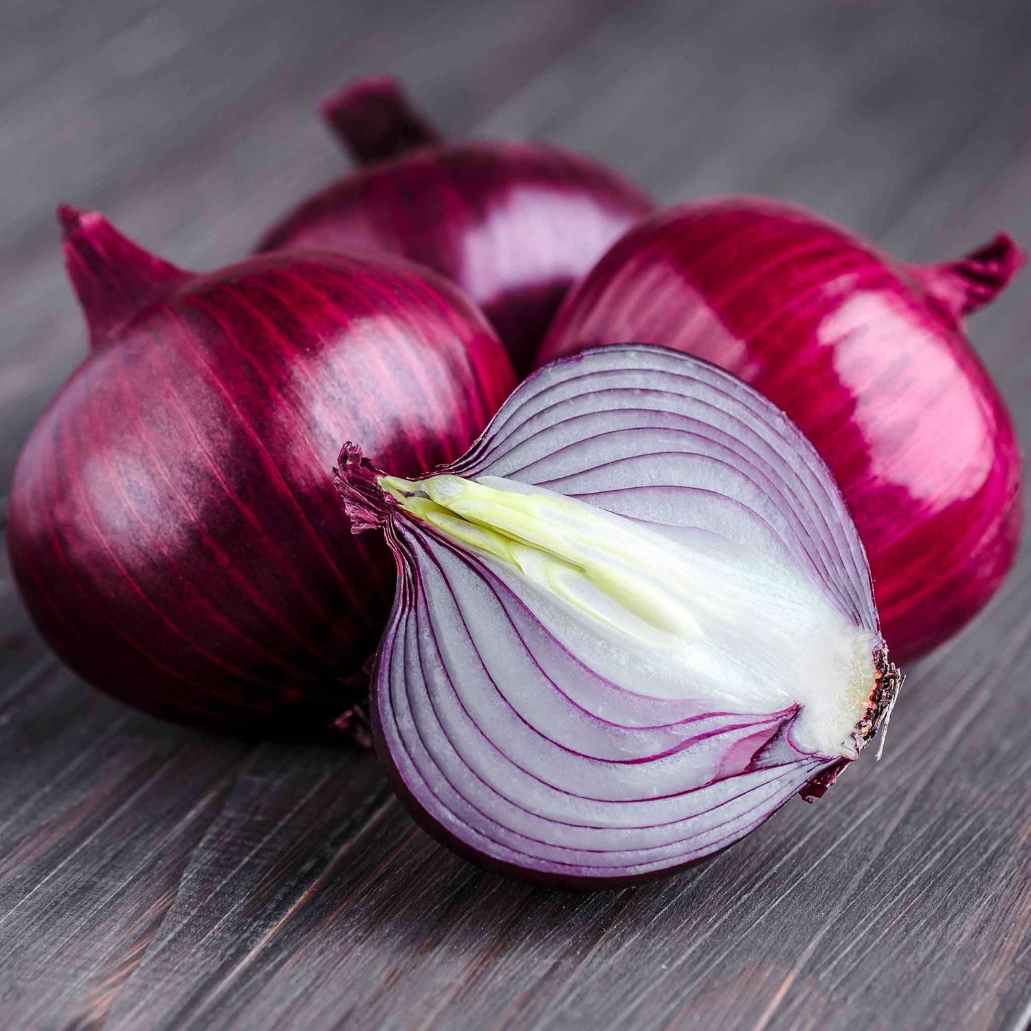 Sweet Spanish Onion Allium Cepa vegetable seeds for planting in kitchen garden and backyard vegetable patches