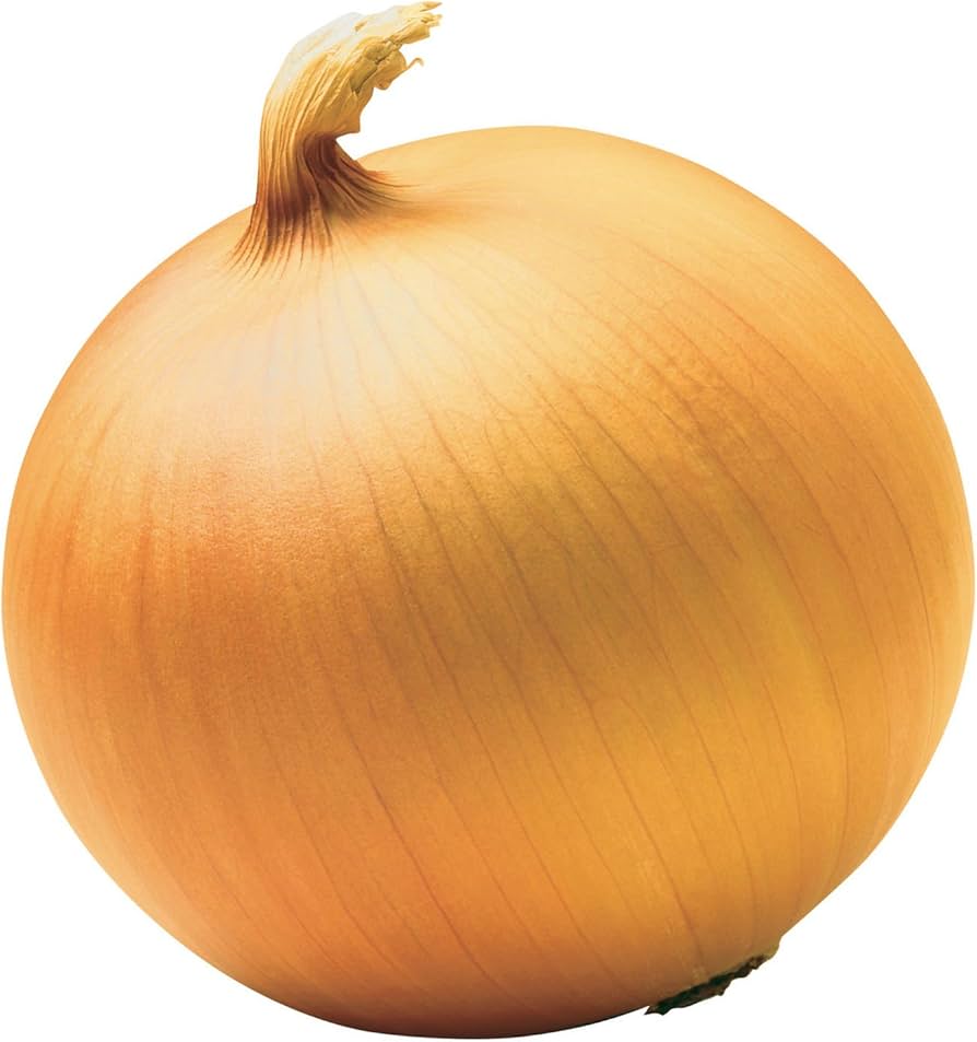 Onion Allium Cepa Texas 1015Y Sweet Vegetable Seeds for Planting – Great for Home Garden and Mild Cooking Use