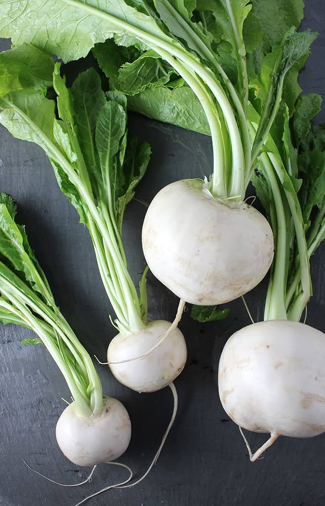 Turnip Brassica Rapa Seven Top Vegetable Seeds for Planting – Heirloom Leafy Variety for Kitchen Garden and Greens Harvest