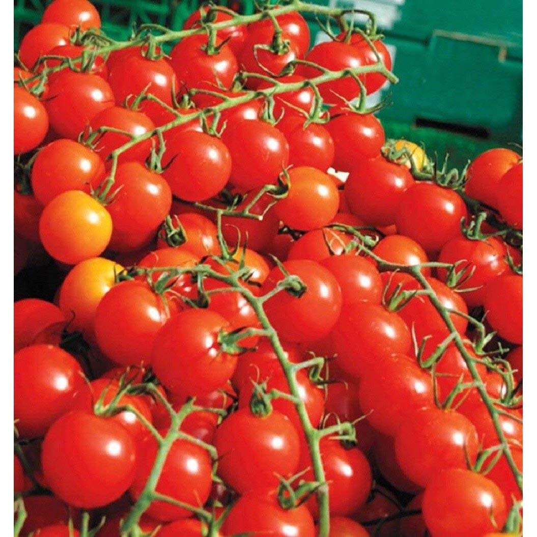 Sweet Million Cherry Tomato Seeds Heirloom Non-GMO High Germination Organic Garden Seeds