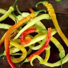 Corbaci Pepper Vegetable Seeds for Planting