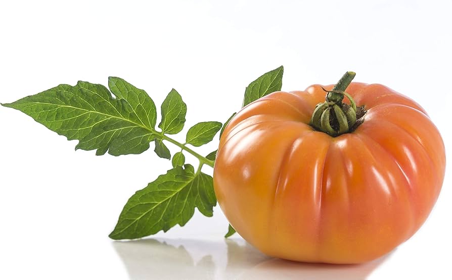 Hamson DX Heirloom Tomato Seeds - Seeds for Sweet and Juicy Home-Grown Tomatoes