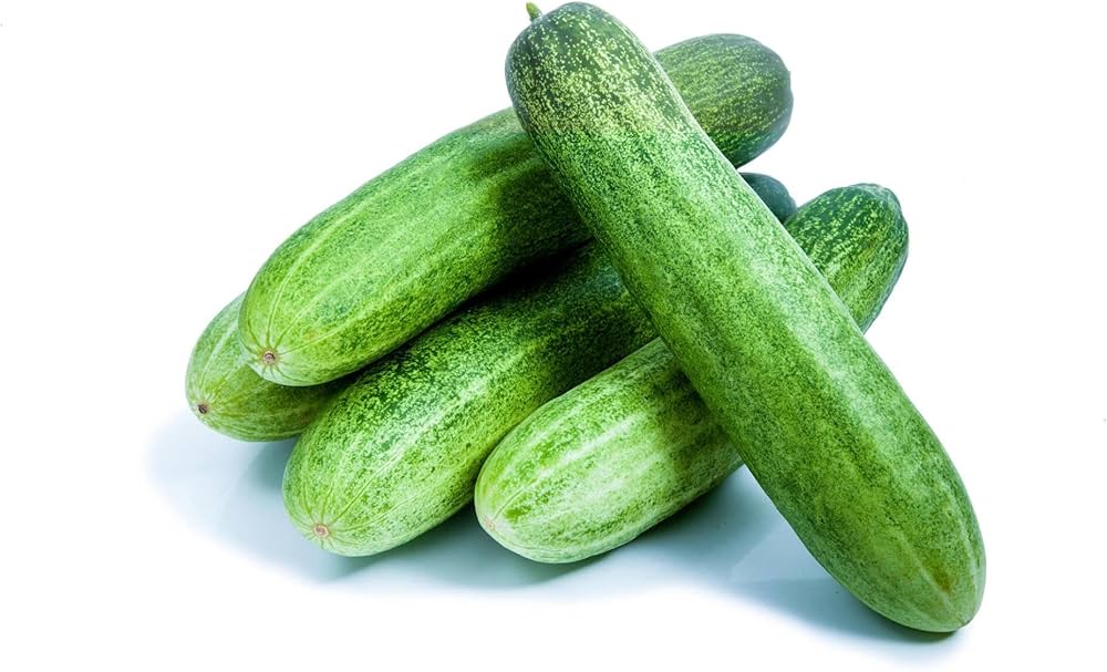 Cucumber Cucumis Sativus Ashley Vegetable Seeds for Planting – Heirloom Variety for Home Garden and Summer Harvest