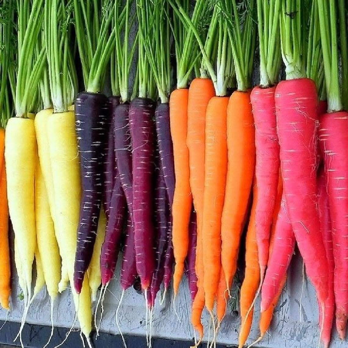Heirloom Rainbow Carrot Seeds (Mixed Colors)