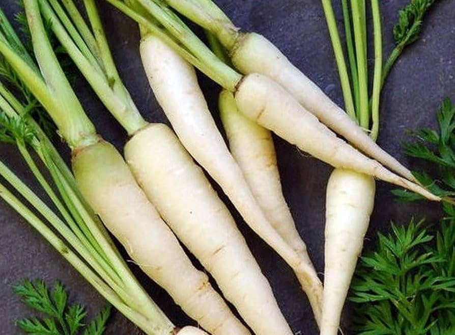 Snow White Carrot Seeds (Daucus carota) – + Fresh Seeds