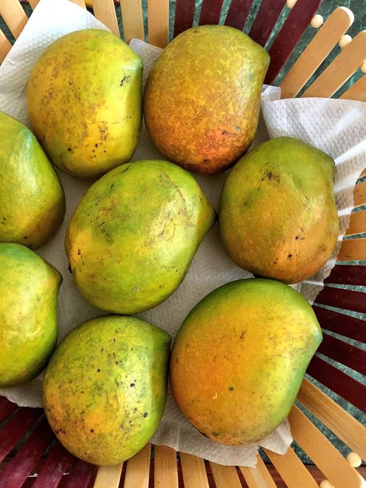 Raspuri Mango – The Sweet and Juicy Delight