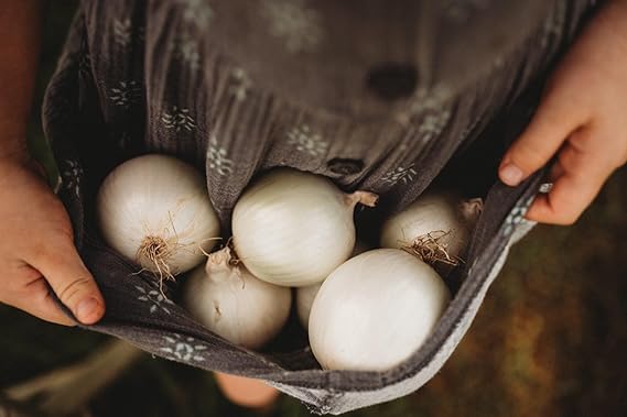 Onion Allium Cepa Sweet Spanish White Vegetable Seeds for Planting – Variety for Kitchen Garden and Cooking Use