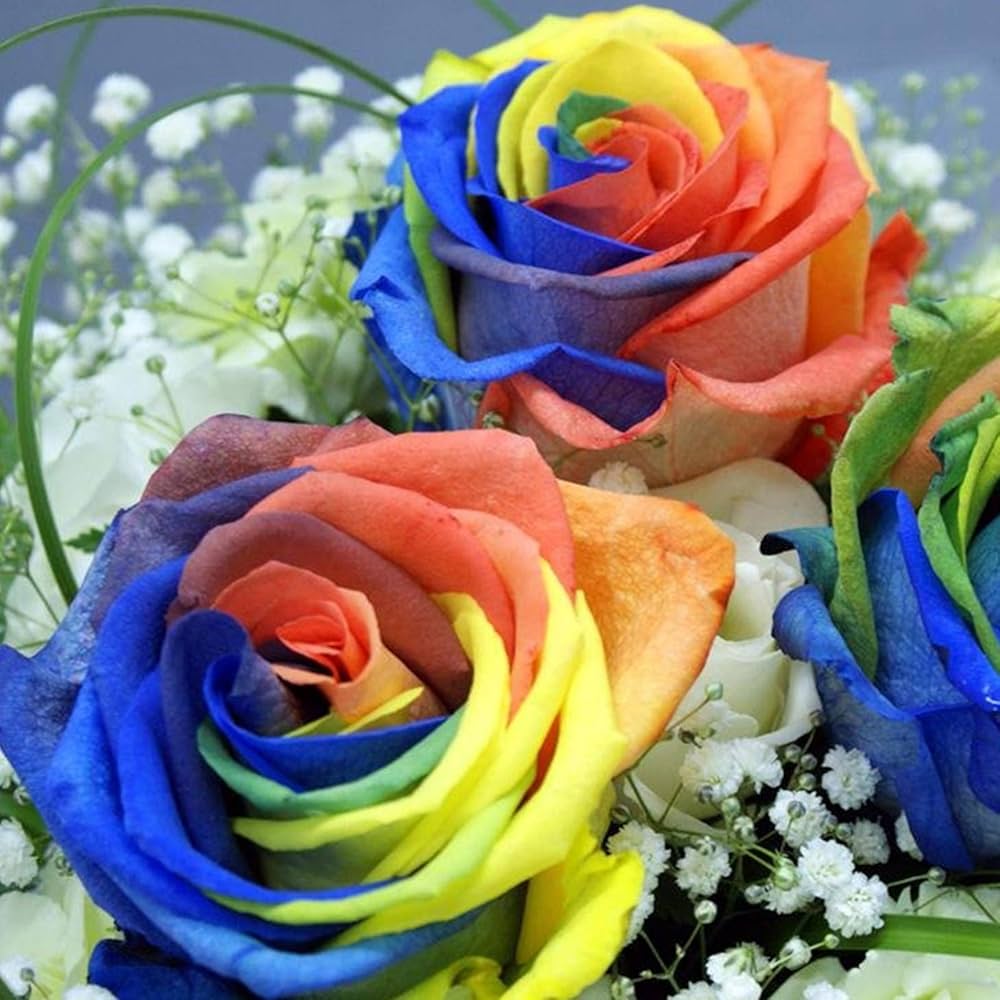 Rose Rosa Hybrida Flower Seeds for Planting – Suitable for Home Garden and Fragrant Landscaping