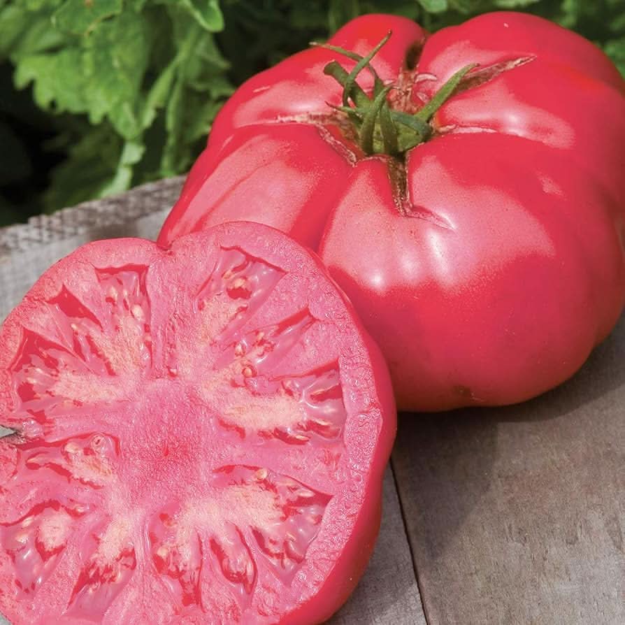 Big Pink Tomato seeds for large, juicy, pink-hued tomatoes perfect for slicing, sandwiches, or homegrown gardens