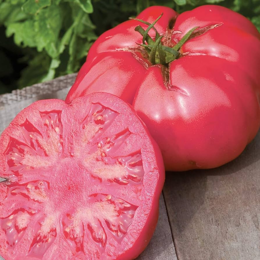 Deutsch Pink Beefsteak Tomato Seeds ( , Organic, Heirloom)