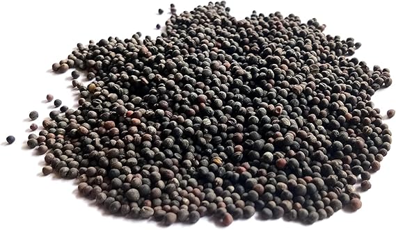 Kale Brassica Oleracea Dwarf Siberian Leaf Vegetable Seeds for Planting – Cold-Hardy Variety for Kitchen Garden