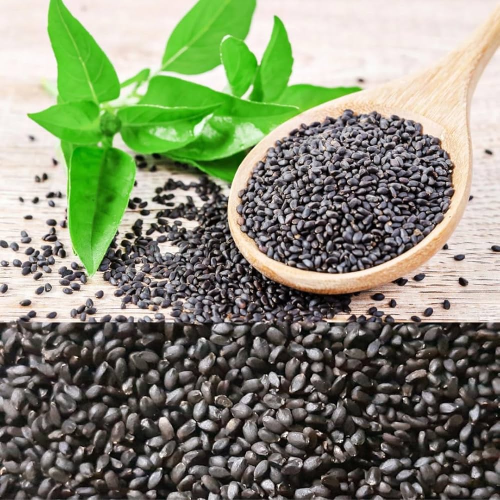 Heirloom Non-GMO Sweet Thai Basil - Seeds for Aromatic, Flavorful Herb in Your Culinary Garden