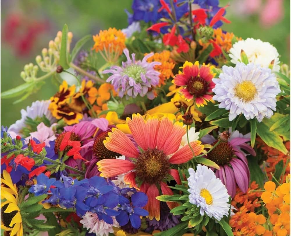 Mixed Flower Seeds for Planting, NON GMO Seeds
