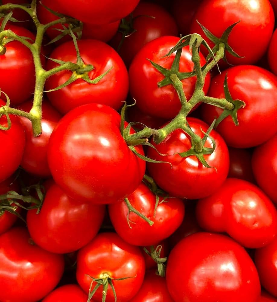 Green Mare’s Tomato Seeds for Planting for Vegetable Patch