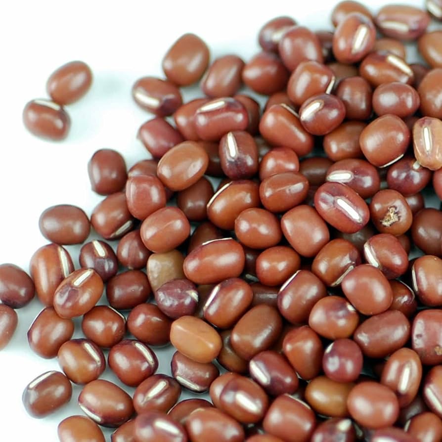 Adzuki Bean for planting in vegetable patch