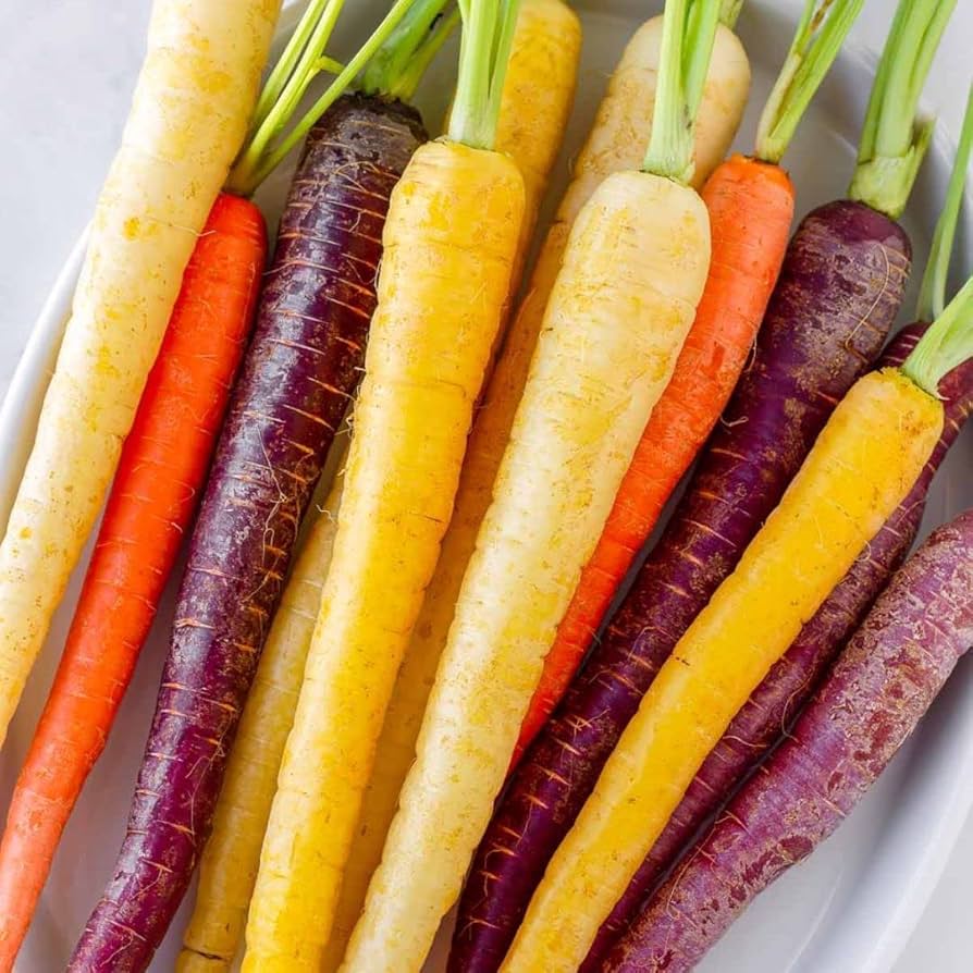 Mixed Color Carrot Seeds for Home Vegetable Gardens – + Seeds