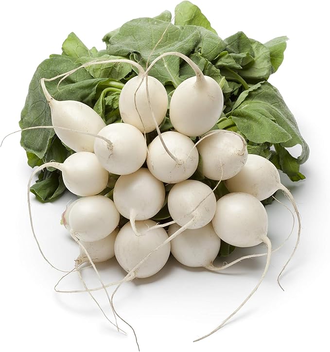  heirloom-non-gmo-fordhook-swiss-chard-seeds


