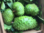 Soursop Fruit for planting