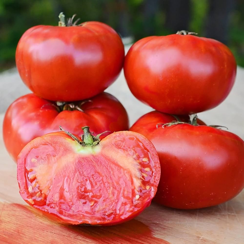 Perennial Beef Tomato Seeds,