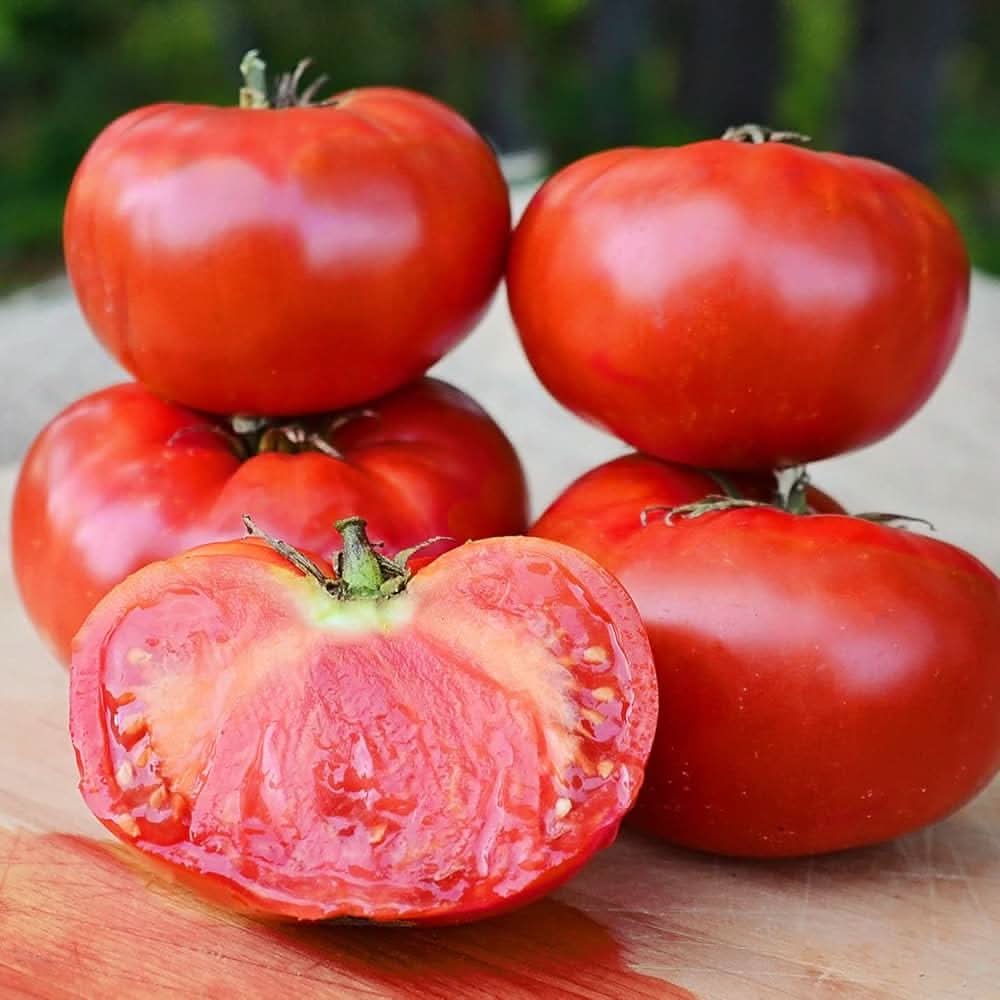 Beefsteak Tomato Solanum lycopersicum vegetable seeds for kitchen garden and containers