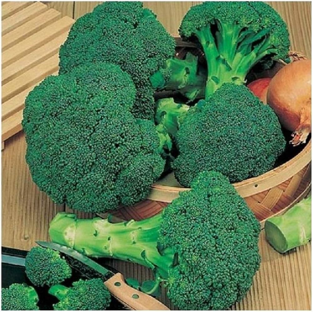 Broccoli Calabrese Heirloom Seeds, Non-GMO,