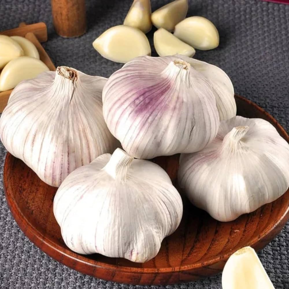 Blue Garlic Seeds for Planting